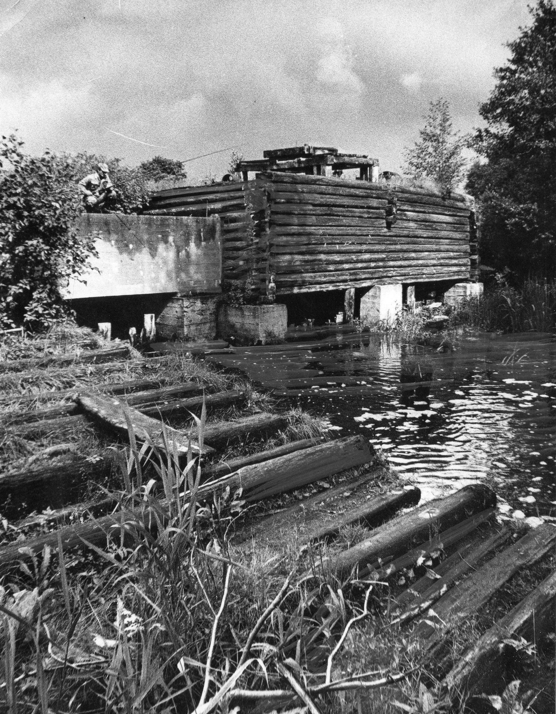 Фотолента "Тверьлайф": как раньше развлекались в Тверской области