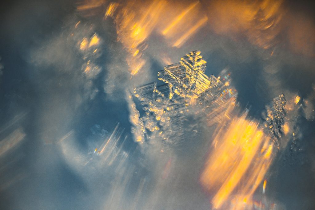 Зимняя сказка в Тверской области или "И горят снежинки в золотом огне..." Зимняя сказка в Тверской области или "И горят снежинки в золотом огне..."