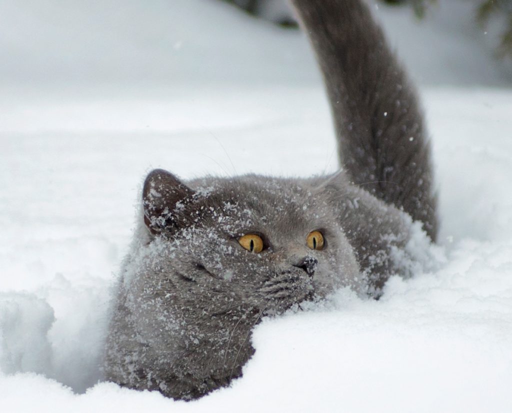 В Тверской области становиться все холоднее