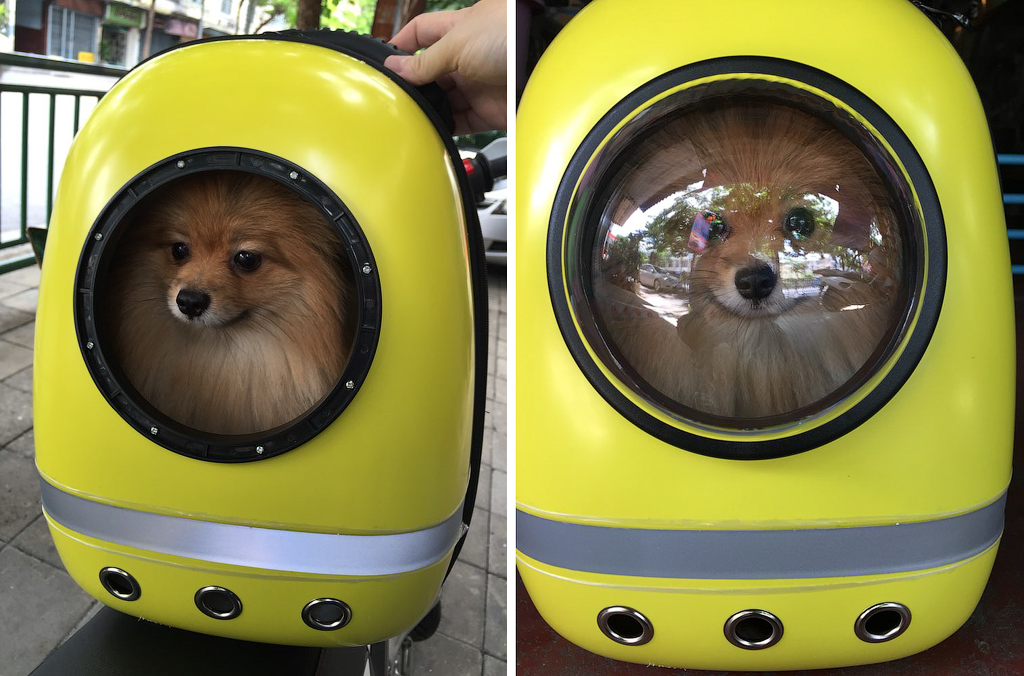 Поводок.Помада: Подарок моей мечты!