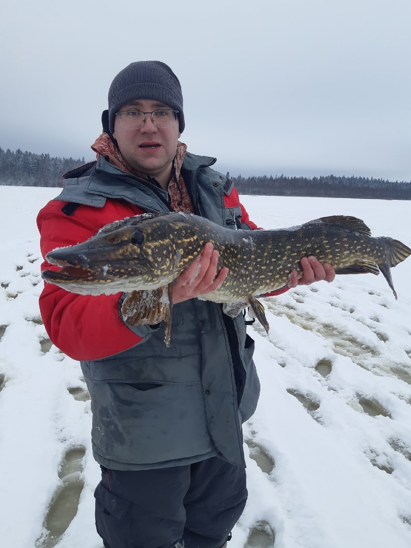 Житель Тверской области поймал трофейную щуку