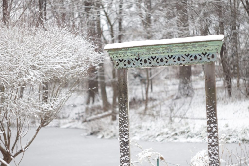Фотограф рассказала о молчаливом и величественном Тверском ботаническом саде Фотограф рассказала о молчаливом и величественном Тверском ботаническом саде