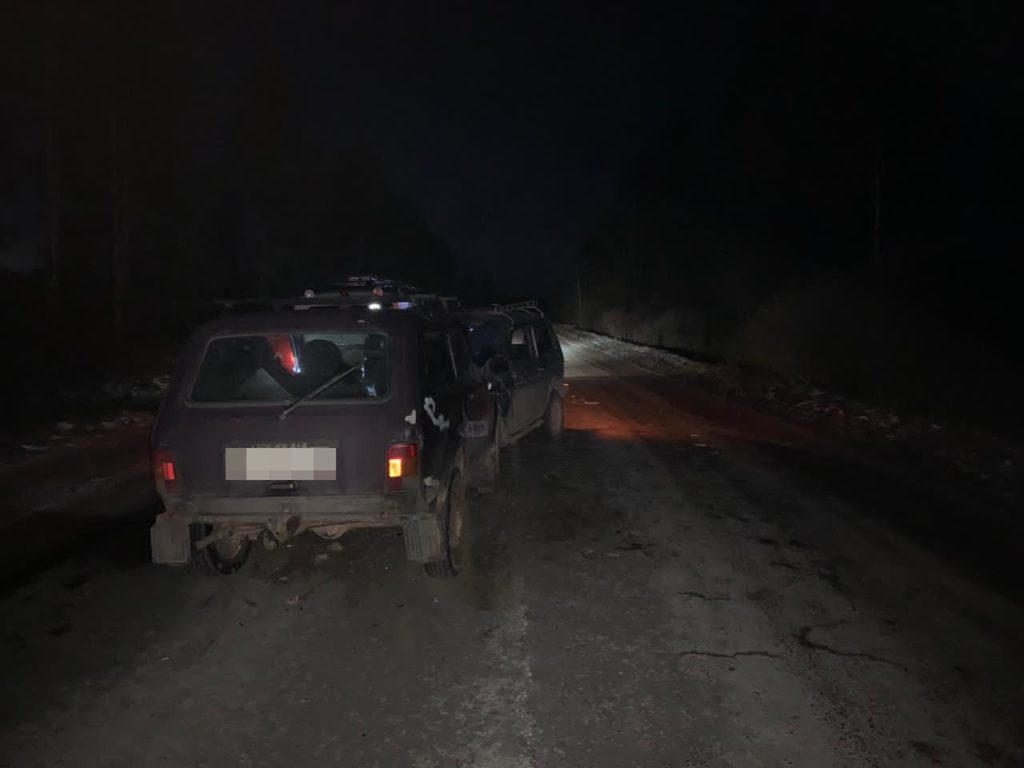 На темной дороге в Тверской области не разъехались две «Нивы» На темной дороге в Тверской области не разъехались две «Нивы»