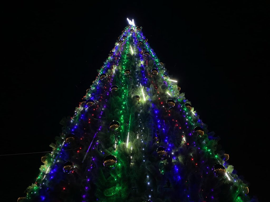 В Твери засияла главная новогодняя елка