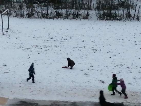 Тверская детвора превратила в игрушку мертвое животное