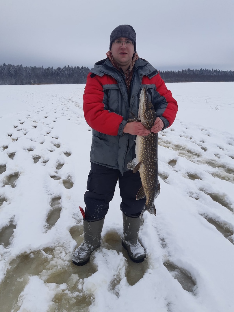 Житель Тверской области поймал трофейную щуку