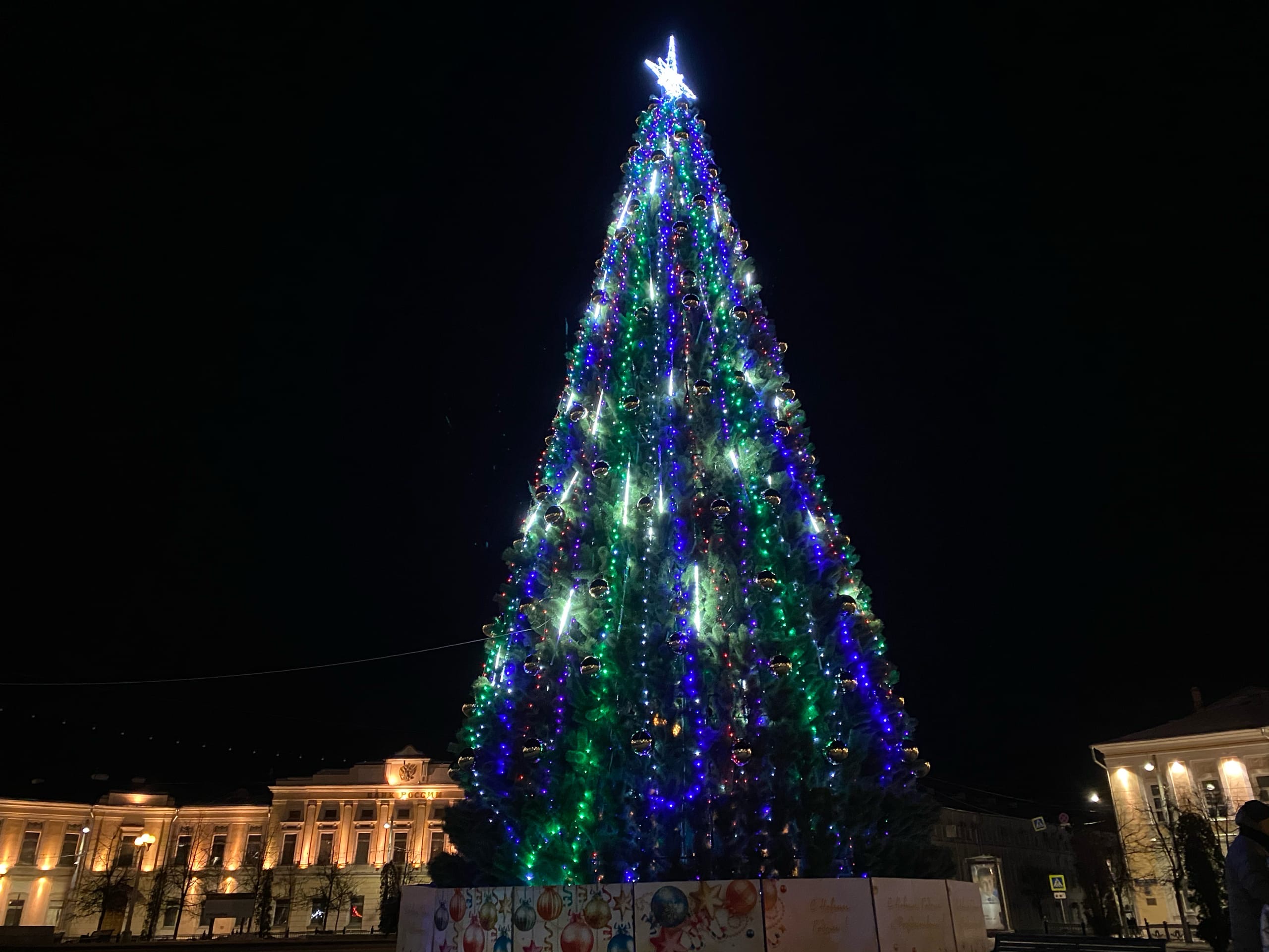 В Твери засияла главная новогодняя елка