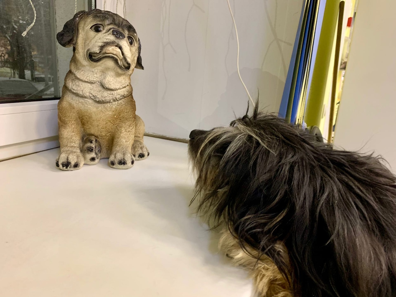 Семья тверского чиновника приютила бездомного пса, спасенного из ледяной реки