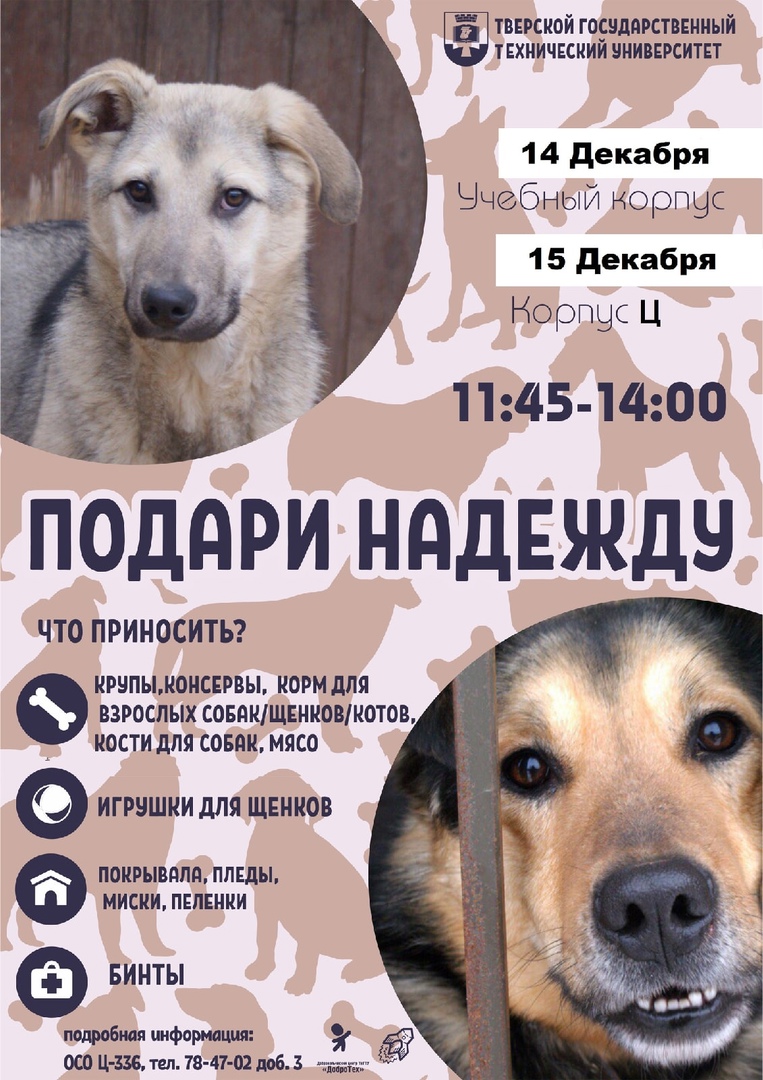 Жители Твери могут помочь бездомным животным