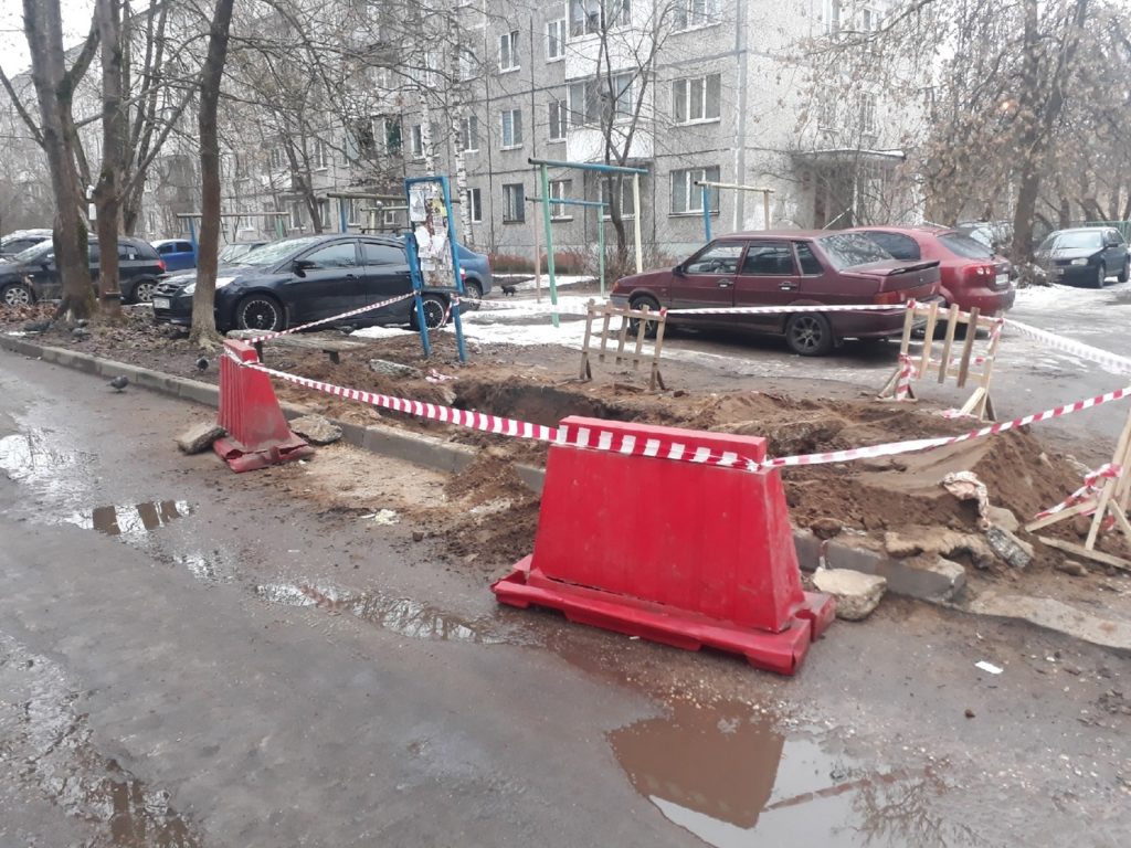 В Твери кошку и котят могут закопать вместе с трубами на теплотрассе В Твери кошку и котят могут закопать вместе с трубами на теплотрассе