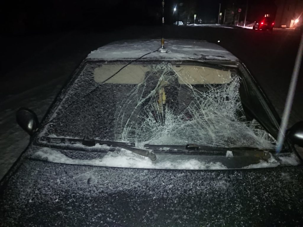 В Тверской области под колеса автомобиля попали мама с дочкой