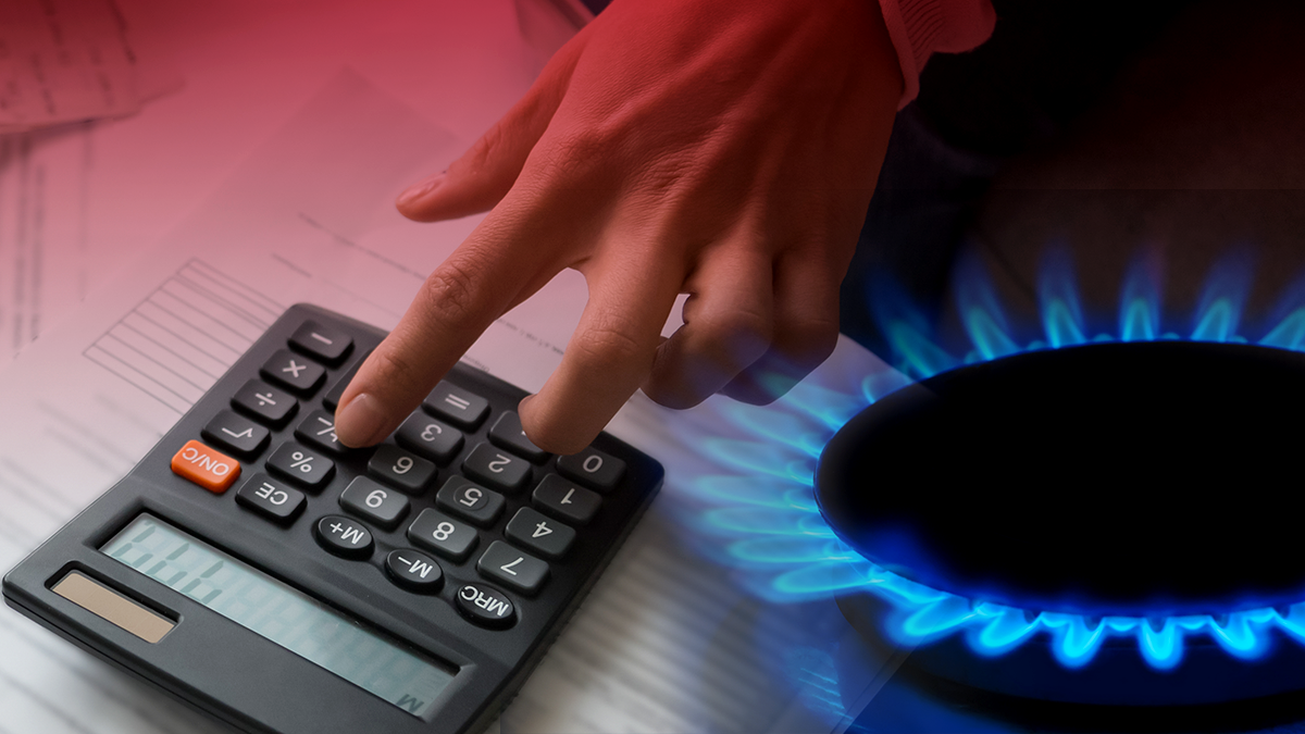 Анатолий Аникин: Газификация поможет сократить расходы Нерльского льнозавода Анатолий Аникин: Газификация поможет сократить расходы Нерльского льнозавода