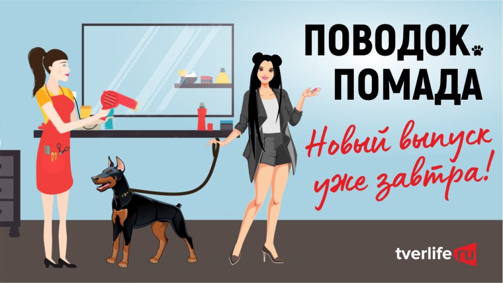 Поводок.Помада: Больше 25 тысяч человек прочитали первые части проекта