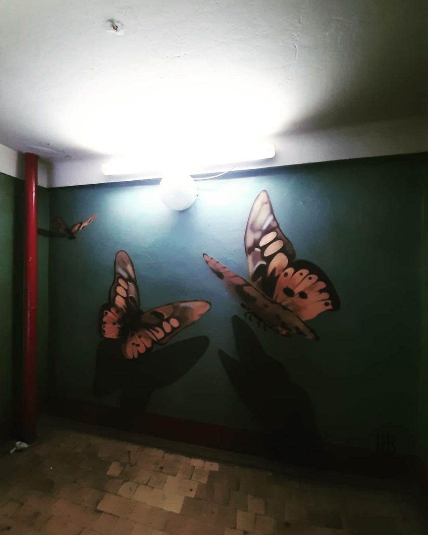3D-бабочки: в Твери появилось новое красивое граффити