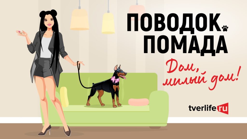 Поводок. Помада: Дом, милый дом! Поводок. Помада: Дом, милый дом!