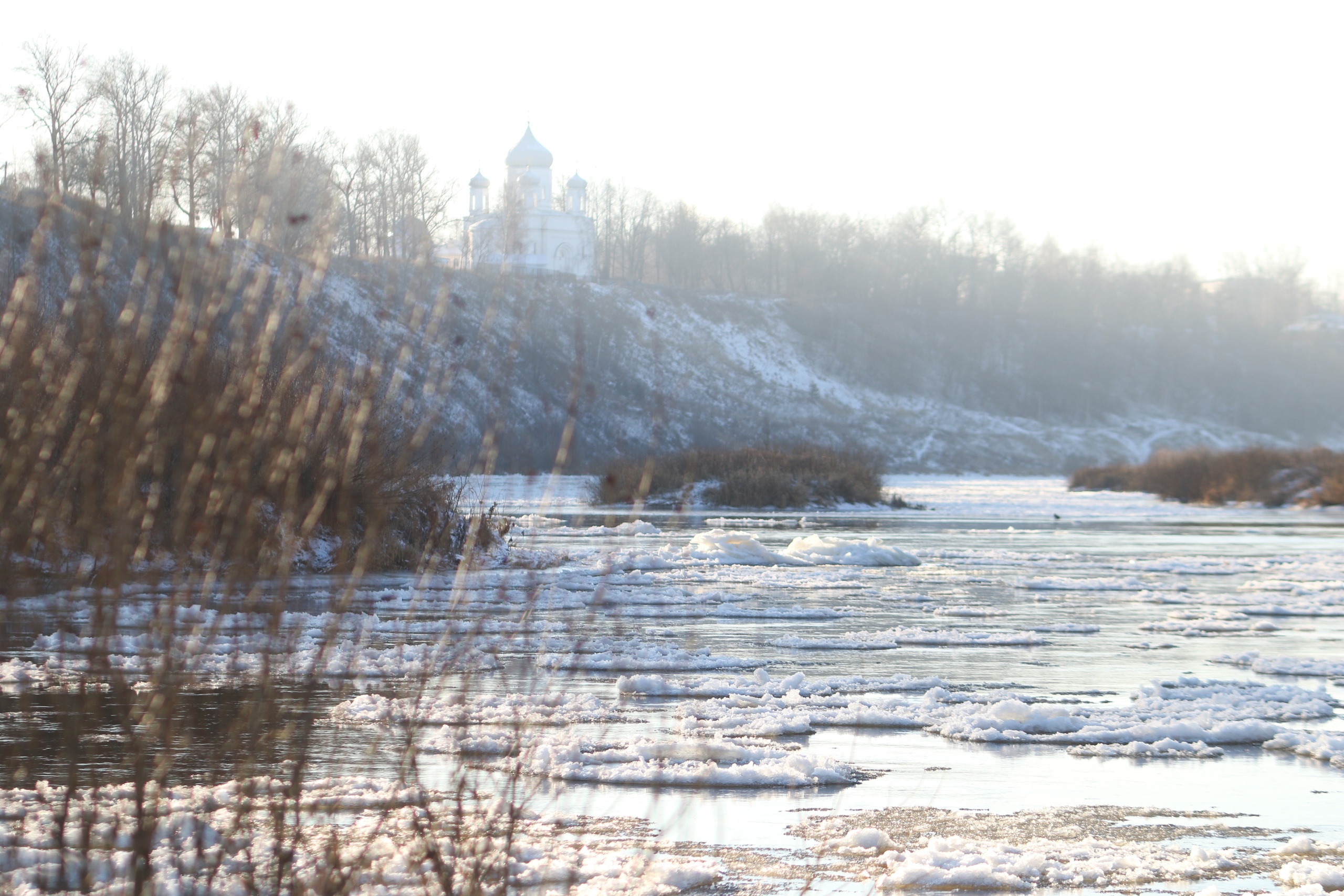 В декабре на Волге в Ржеве появились кувшинки