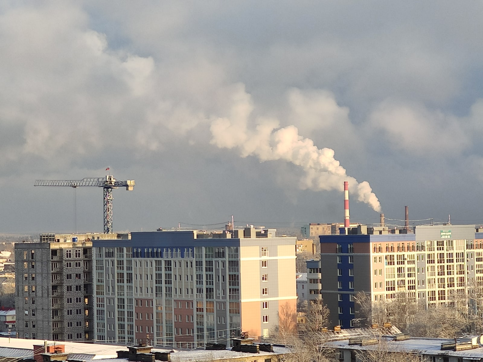 Первый день зимы в Тверской области отметился солнцем, снегом и атмосферными фото