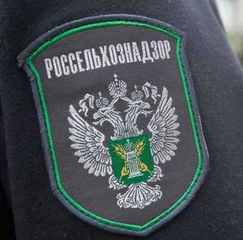 В Тверской области выявили нарушения в ветеринарных документах В Тверской области выявили нарушения в ветеринарных документах