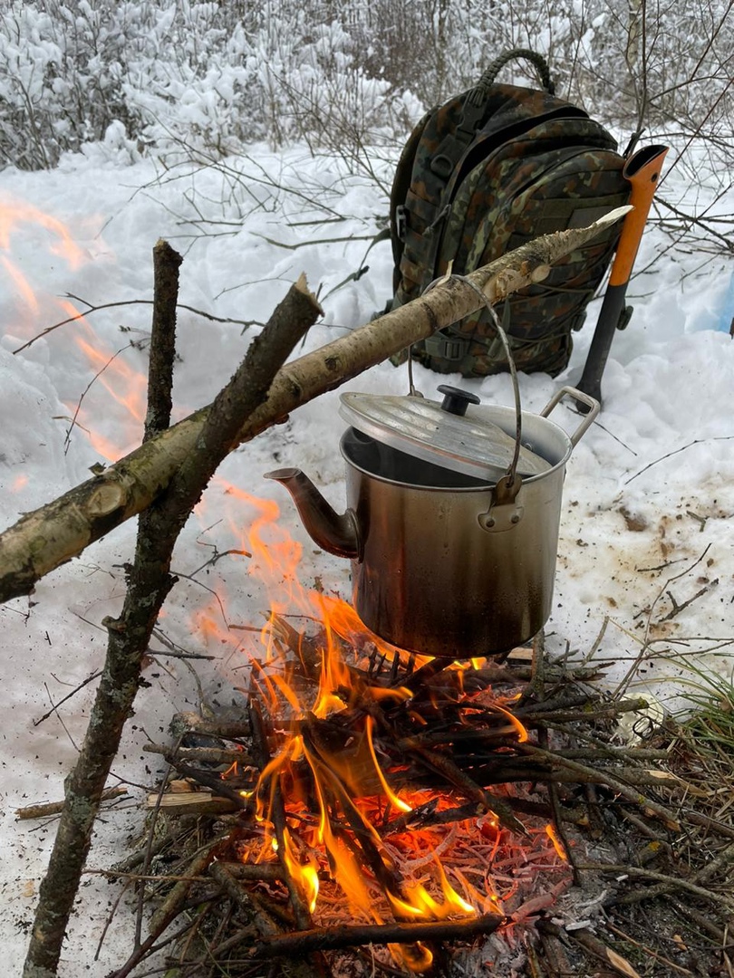 Немецкая монета и останки солдат найдены на месте миномётного обстрела в Тверской области