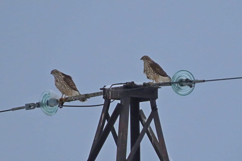 новости твери и области