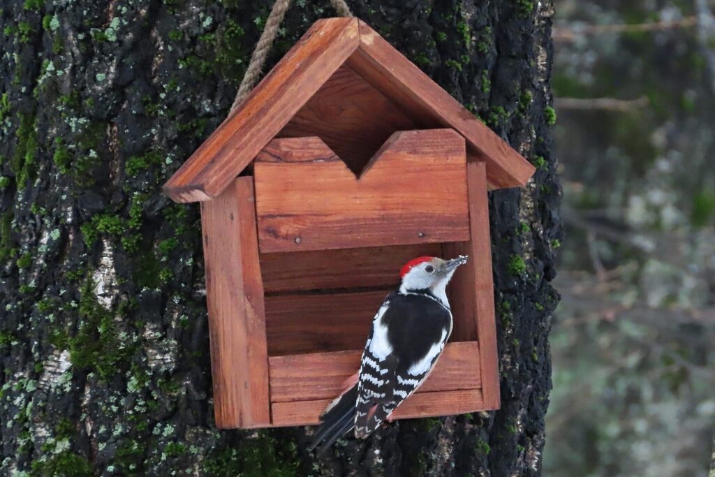 tverlife.ru - новости Твери и Тверской области