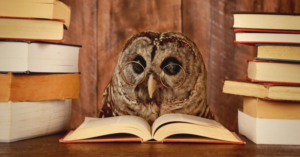 Учись, студент: за что великие умы ценили образование tverlife.ru - новости Твери и Тверской области