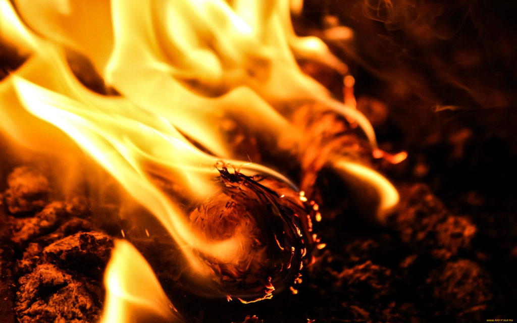 Четыре человека погибли в огне пожара в Твери Четыре человека погибли в огне пожара в Твери