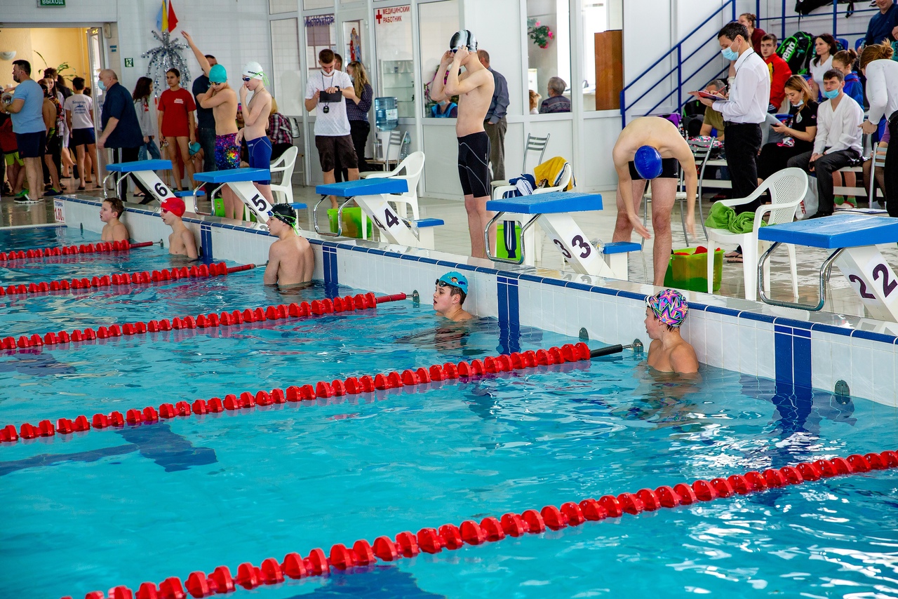 Сильнейших пловцов Тверской области определили на соревнованиях в Бологое