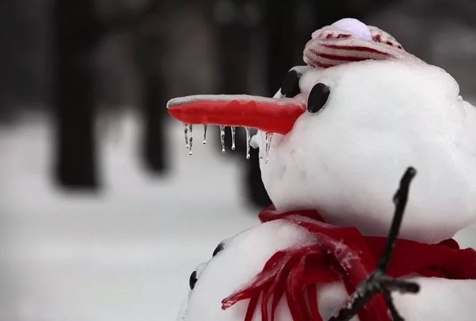 Жителей Тверской области ждет теплое и туманное воскресенье