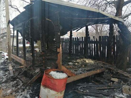В Тверской области из-за неисправного обогревателя сгорел курятник tverlife.ru - новости Твери и Тверской области
