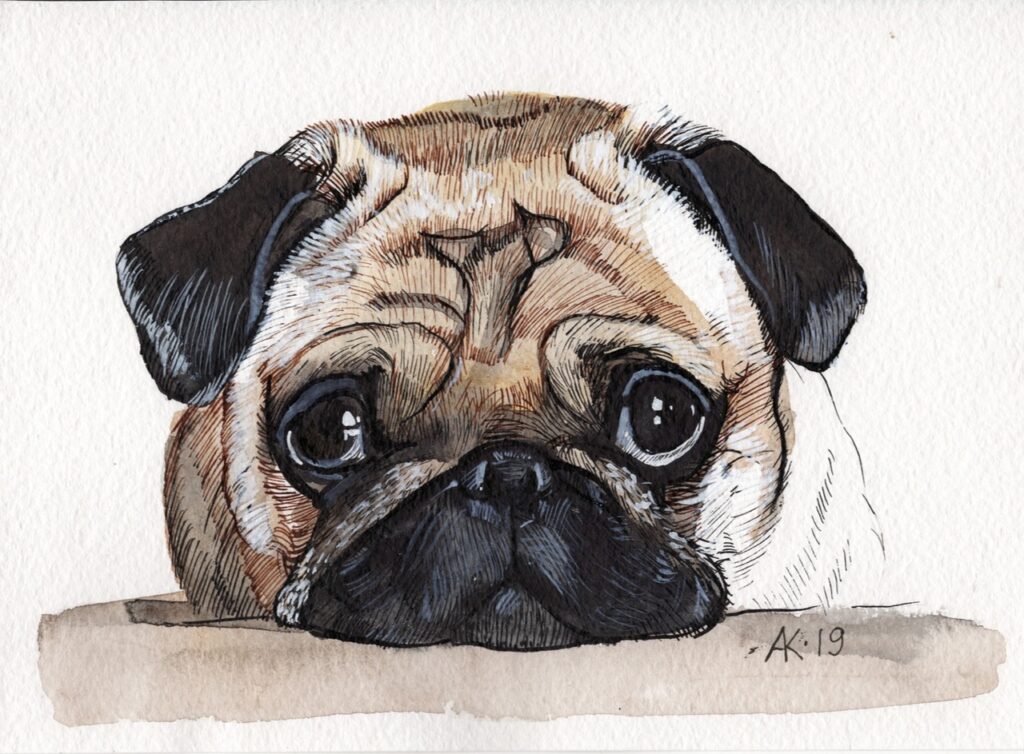 Жителям Твери раскроют тему собачьей верности в акварели tverlife.ru - новости Твери и Тверской области