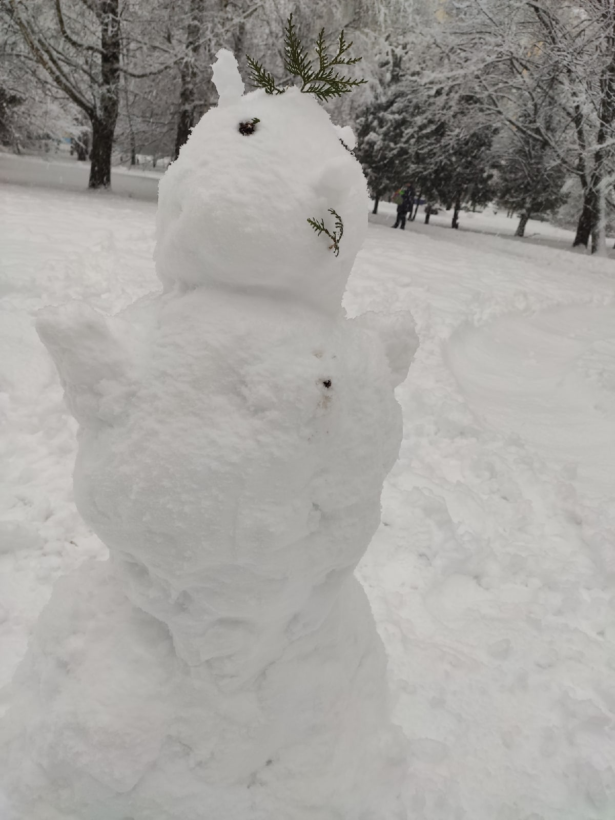 Рождественские морозы ждут жителей Тверской области