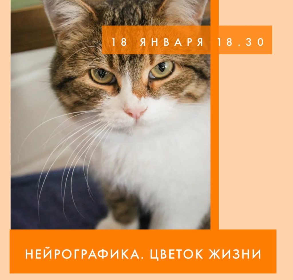 В Твери в котокафе пройдет мастер-класс по нейрографике В Твери в котокафе пройдет мастер-класс по нейрографике