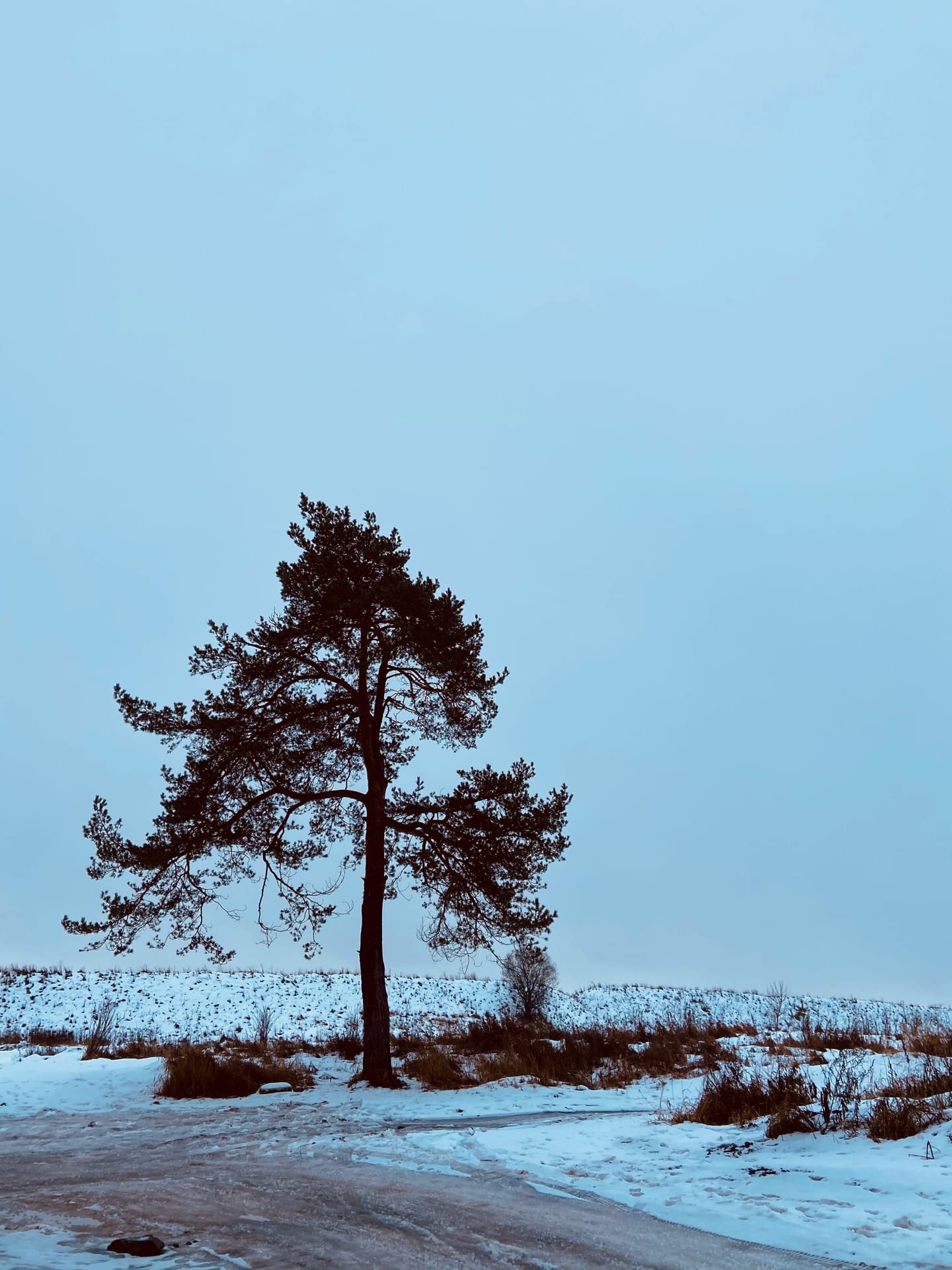 Тверской фотограф запечатлела зимнюю Старицу