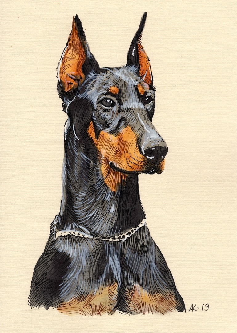 Жителям Твери раскроют тему собачьей верности в акварели