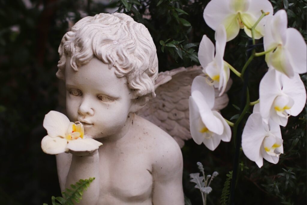 Тверской ботанический сад показал фотографии части выставки орхидей "Тропический коктейль" tverlife.ru - новости Твери и Тверской области