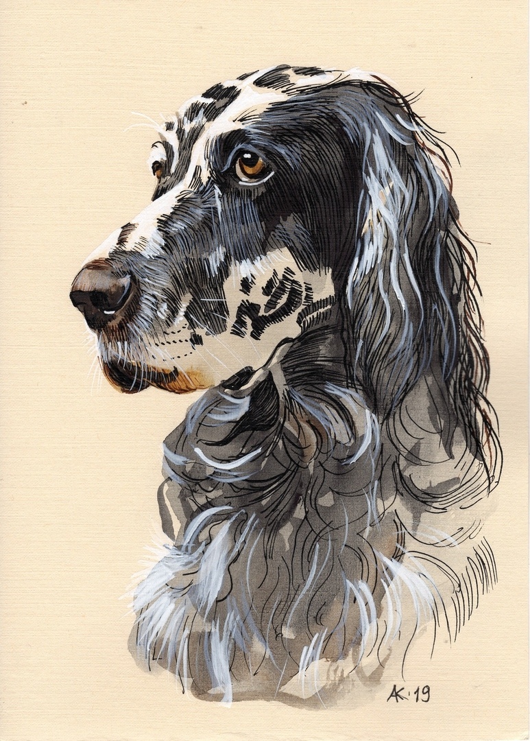 Жителям Твери раскроют тему собачьей верности в акварели