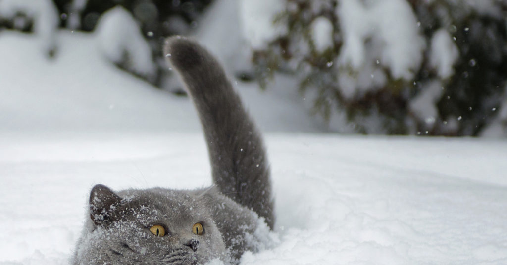 Рождественские морозы ждут жителей Тверской области Рождественские морозы ждут жителей Тверской области