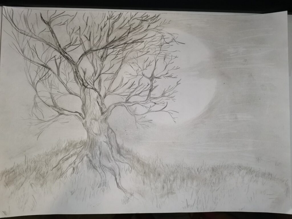 В Тверской области стали известны победители экоконкурса «Чистые сердца»