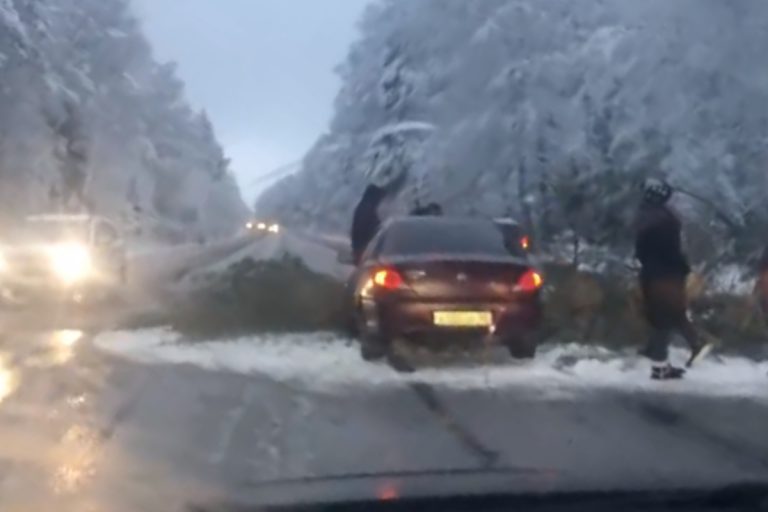 В Тверской области заснеженная ель упала на автомобиль В Тверской области заснеженная ель упала на автомобиль