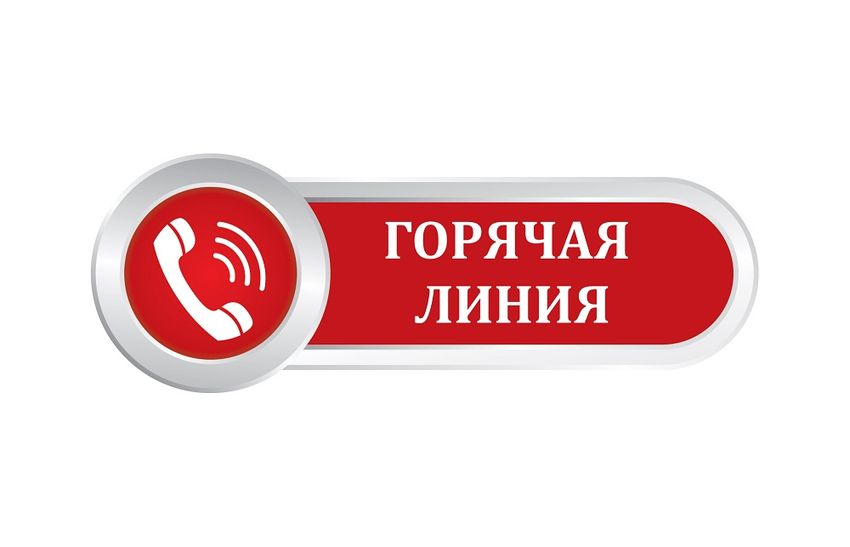 Тверской Россельхознадзор проведет «горячую линию» по вопросам ветеринарного законодательства