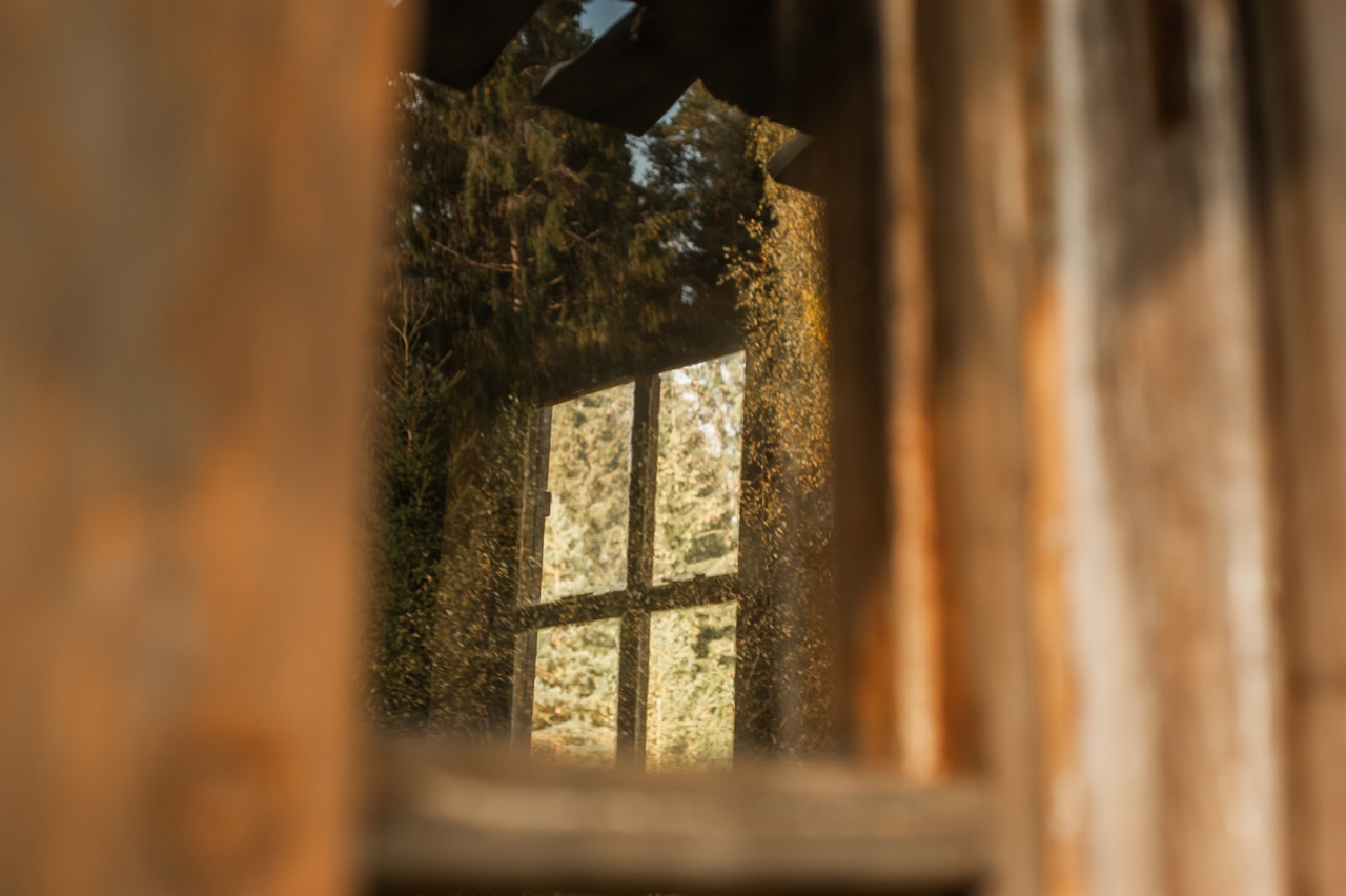 Красота в деталях: тверской фотограф запечатлел золотую осень