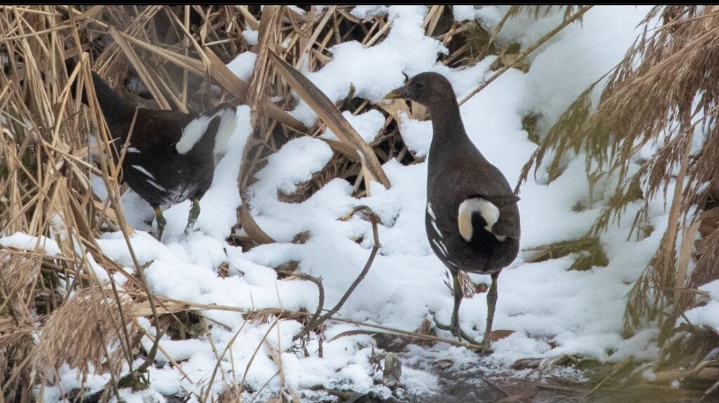 ТверьЛайф - новости культурной жизни города