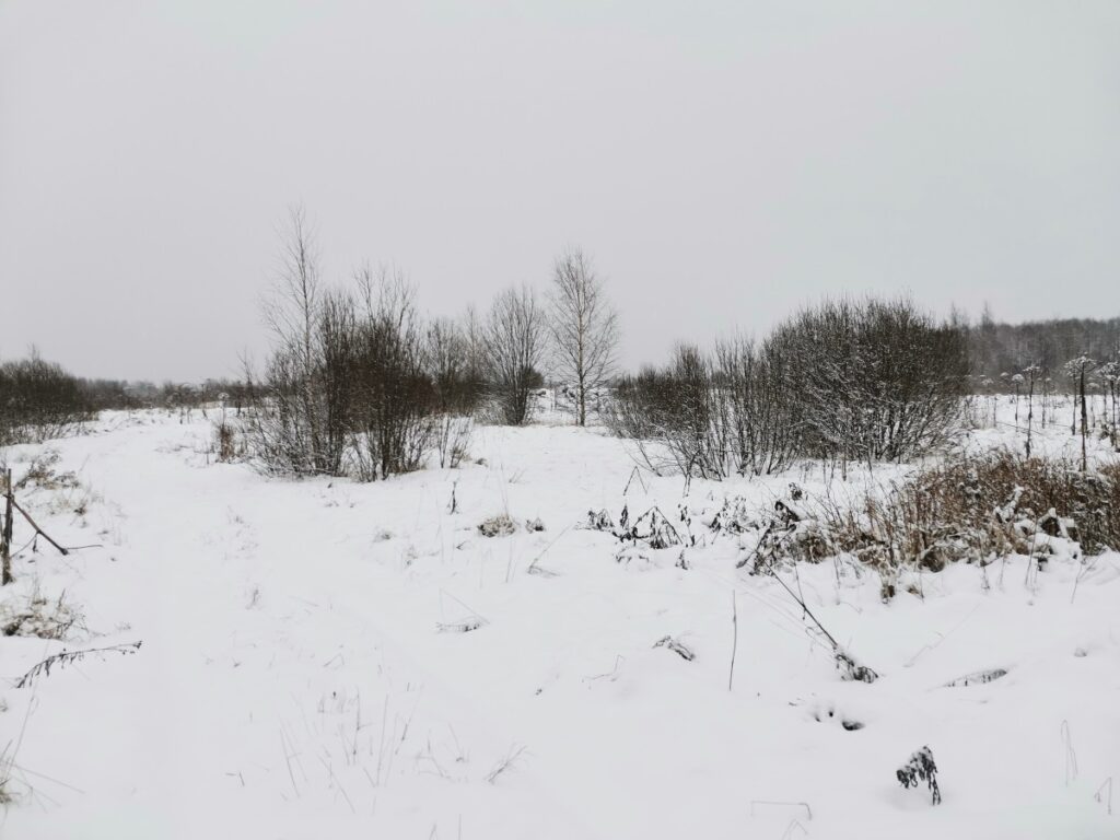 Землевладелец оштрафован за зарастание 28 гектаров сельскохозяйственных угодий