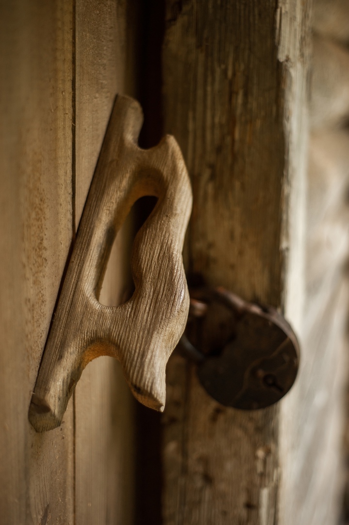 Красота в деталях: тверской фотограф запечатлел золотую осень