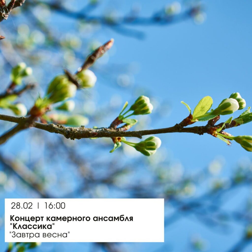 Жителей Твери приглашают на концерт камерного ансамбля "Классика" Жителей Твери приглашают на концерт камерного ансамбля "Классика"