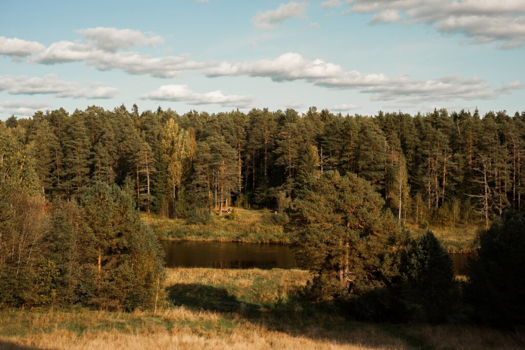 Красота в деталях: тверской фотограф запечатлел золотую осень
