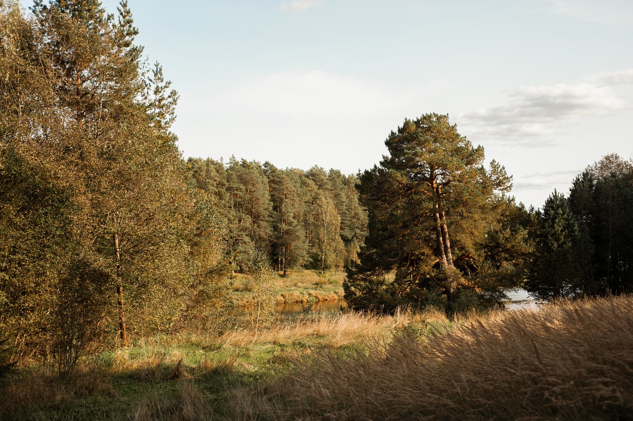 Красота в деталях: тверской фотограф запечатлел золотую осень