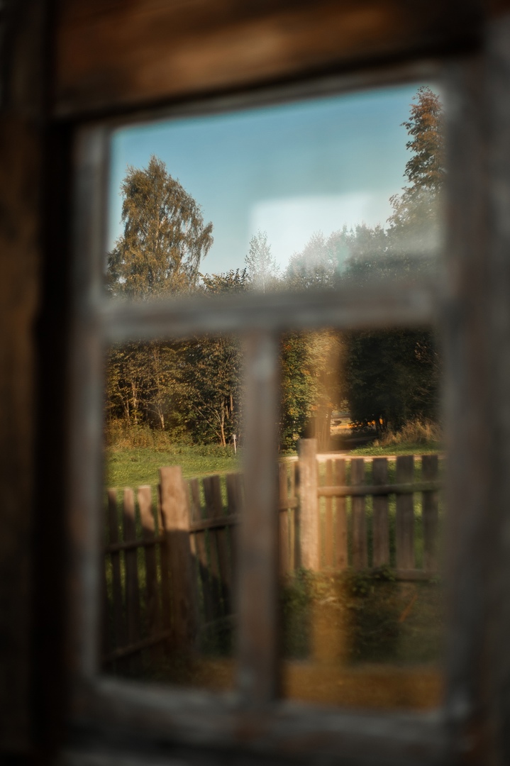 Красота в деталях: тверской фотограф запечатлел золотую осень