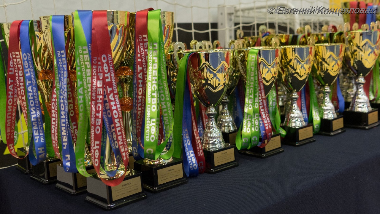 Тверские спортсмены привезли 13 медалей с чемпионата ЦФО по восточному единоборству сетокан
